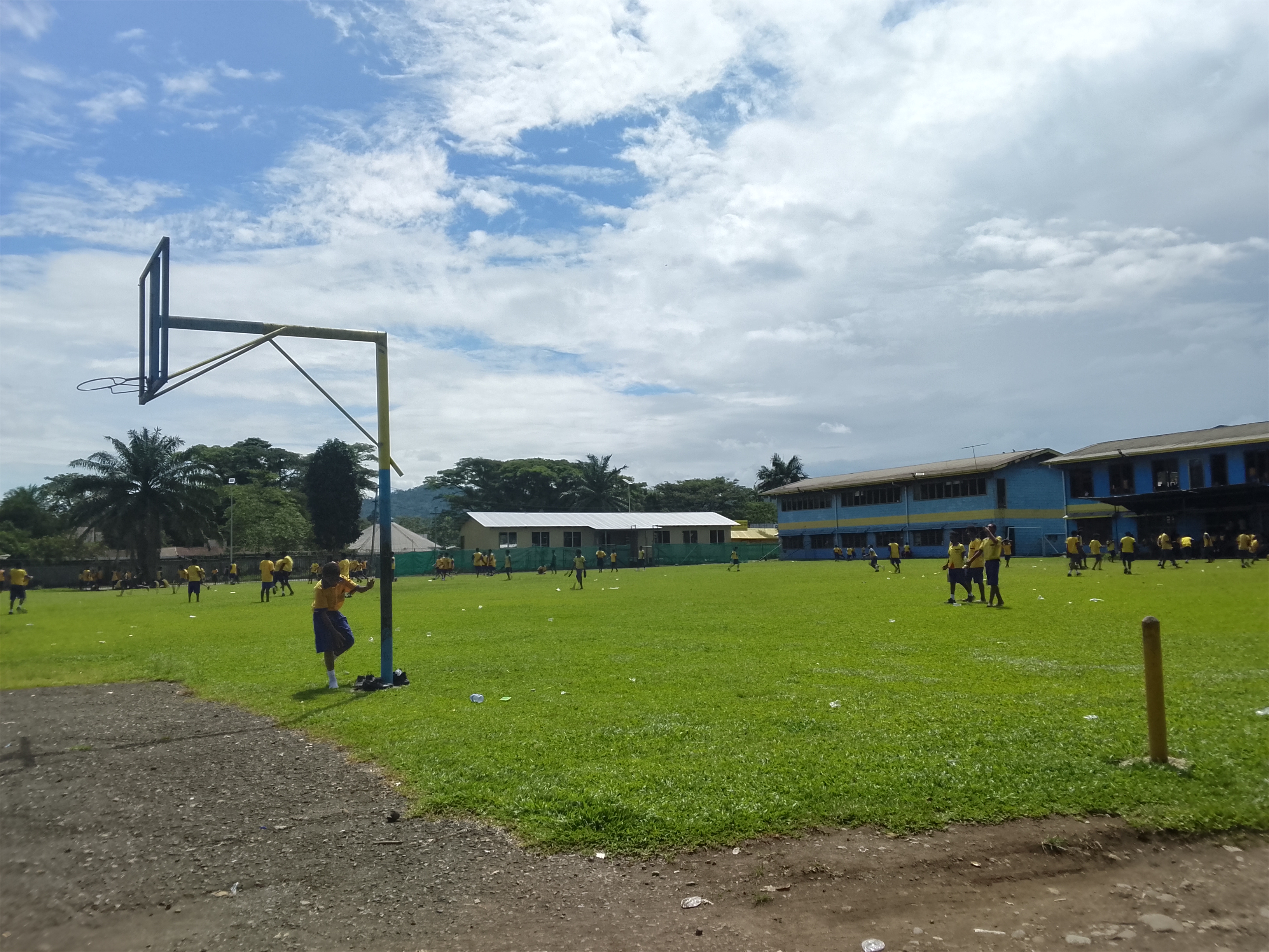 Playing Field
